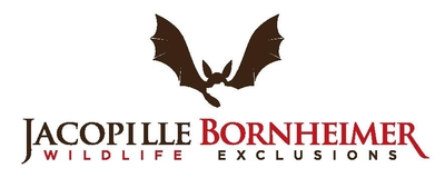 Orchard Park Wildlife Removal